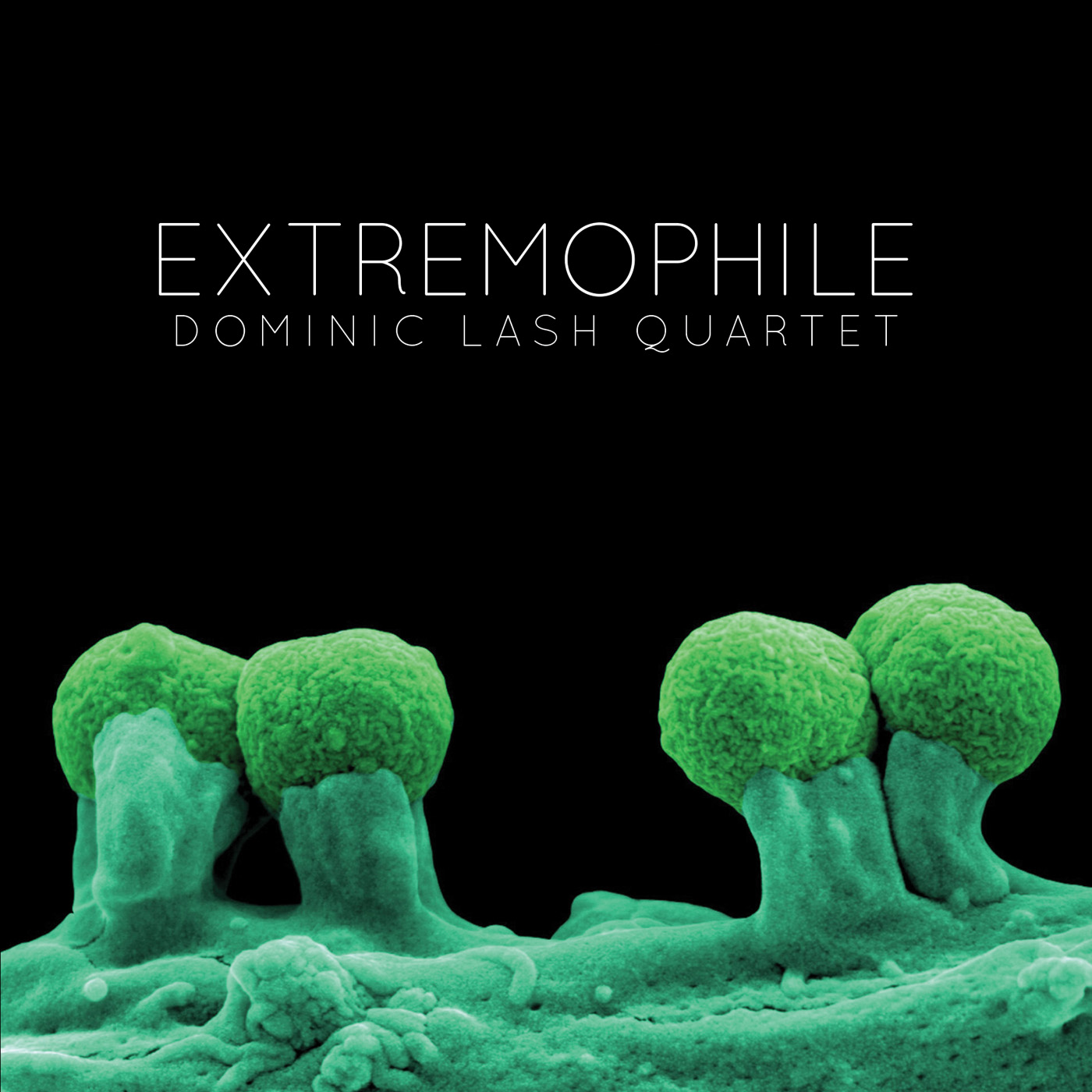 Extremophile by Dominic Lash Quartet